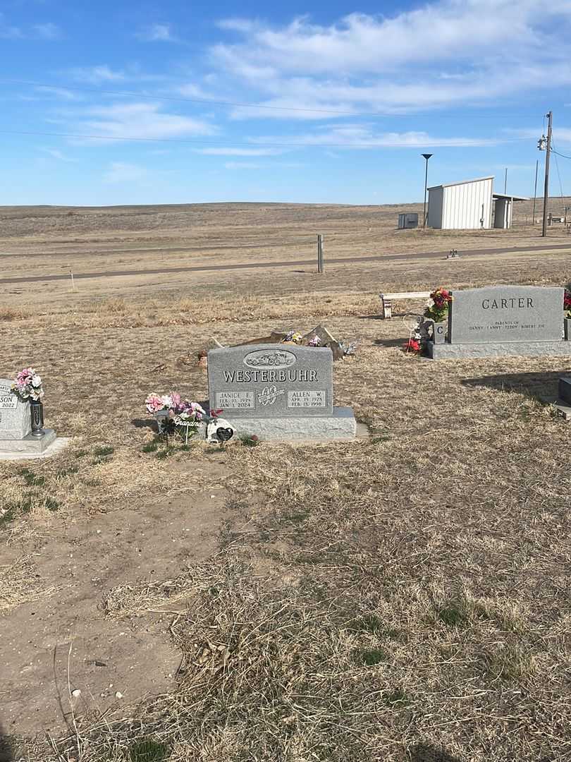 Janice E. Nelson Westerbuhr's grave. Photo 2