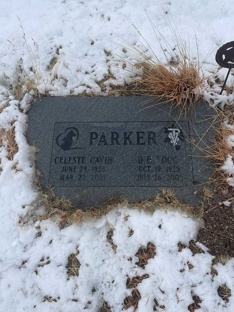 Delos H. "Doc" Parker's grave. Photo 4
