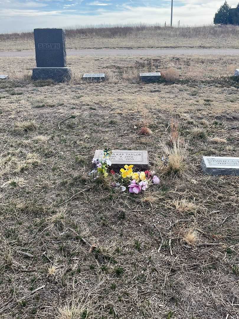 Ronda Kay Taylor's grave. Photo 1