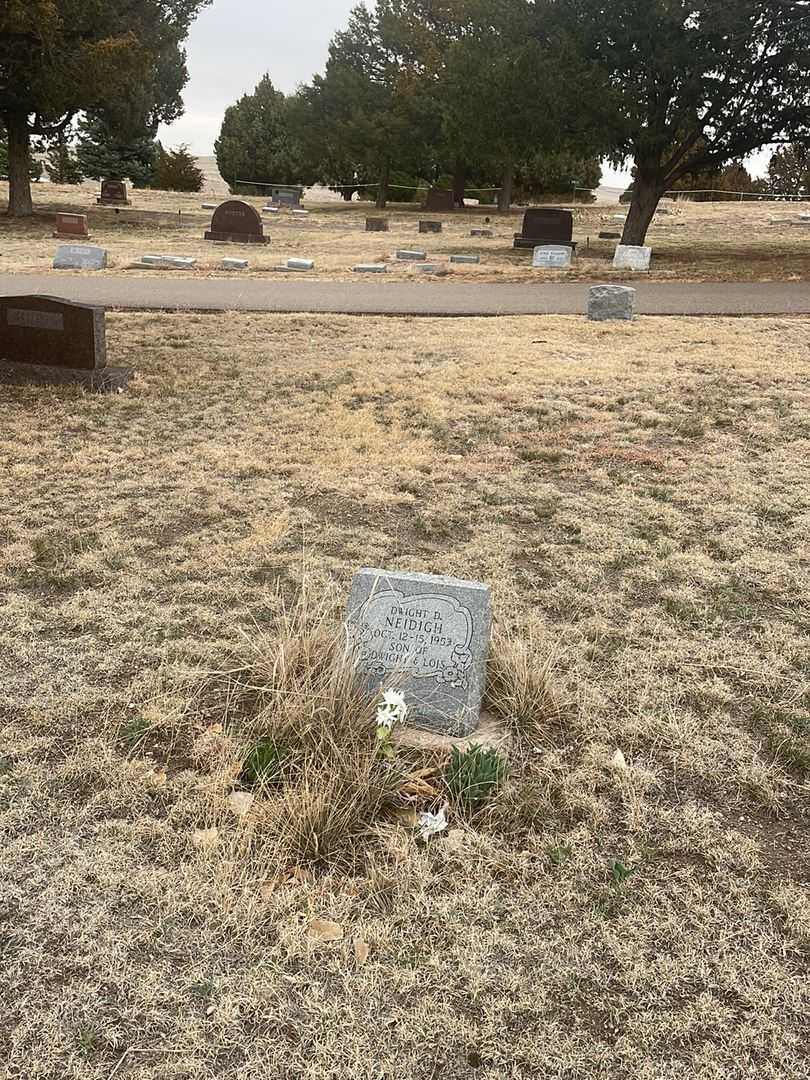 Dwight D. Neidigh's grave. Photo 1