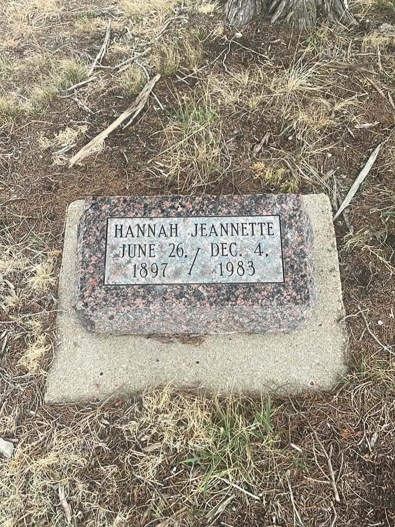 Hannah Jeannette Theiss's grave. Photo 3