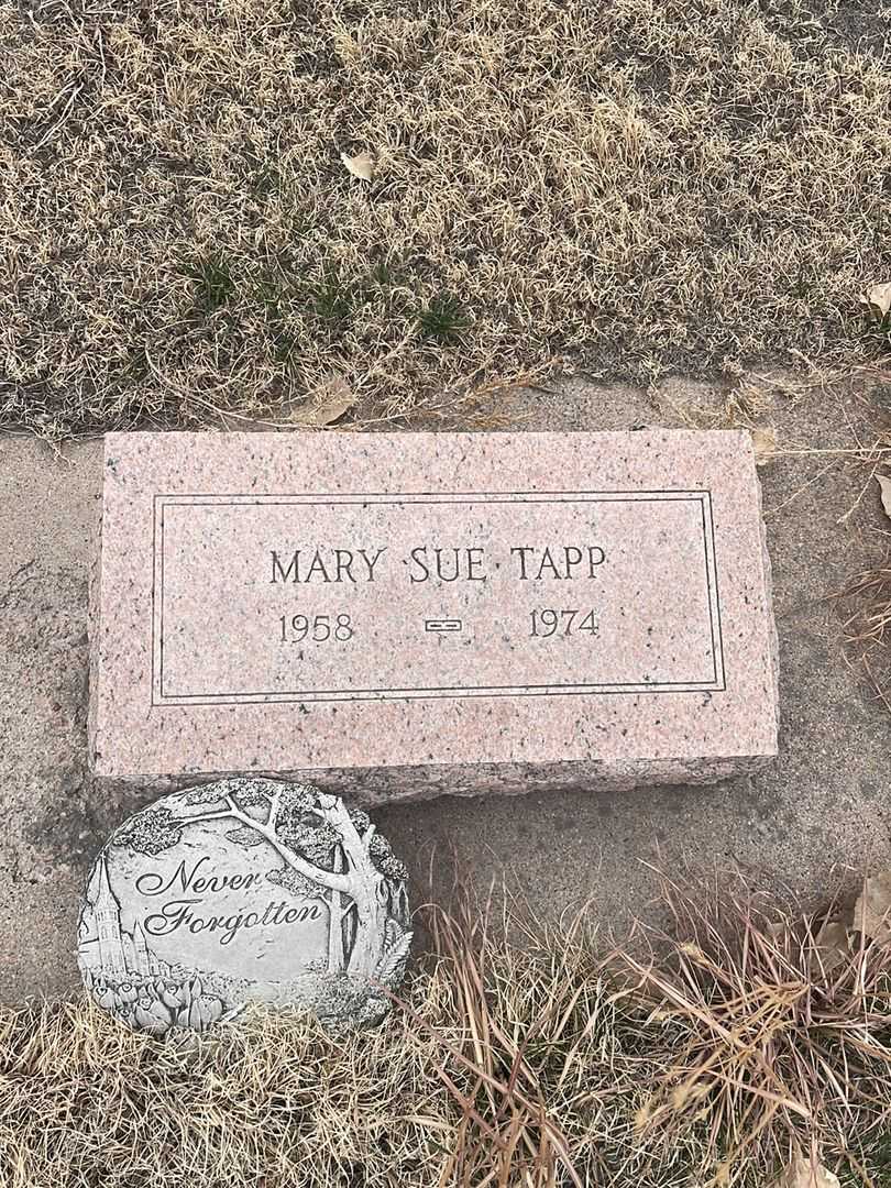 Mary Sue Tapp's grave. Photo 3