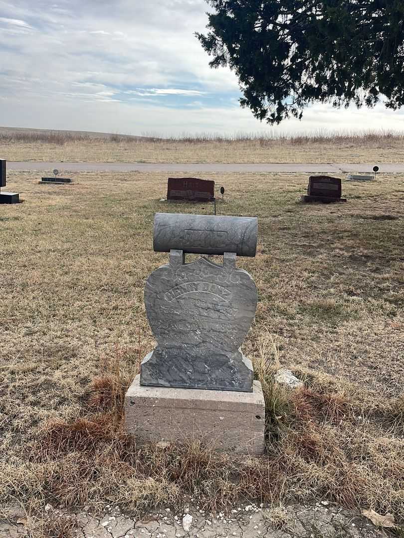 Henry Danz's grave. Photo 1