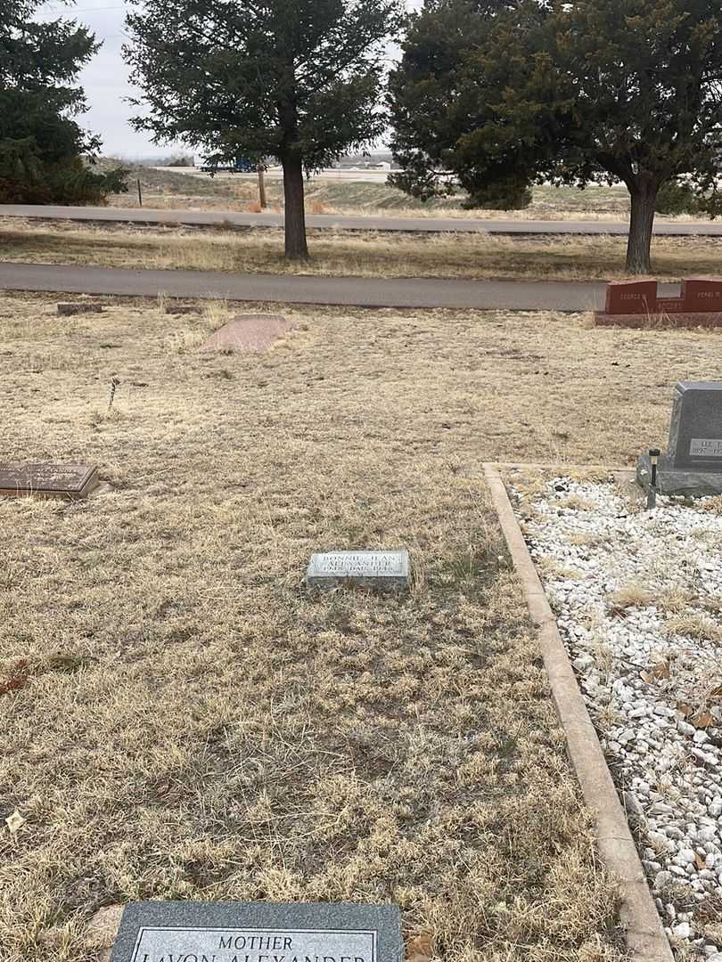 Bonnie Jean Alexander's grave. Photo 1