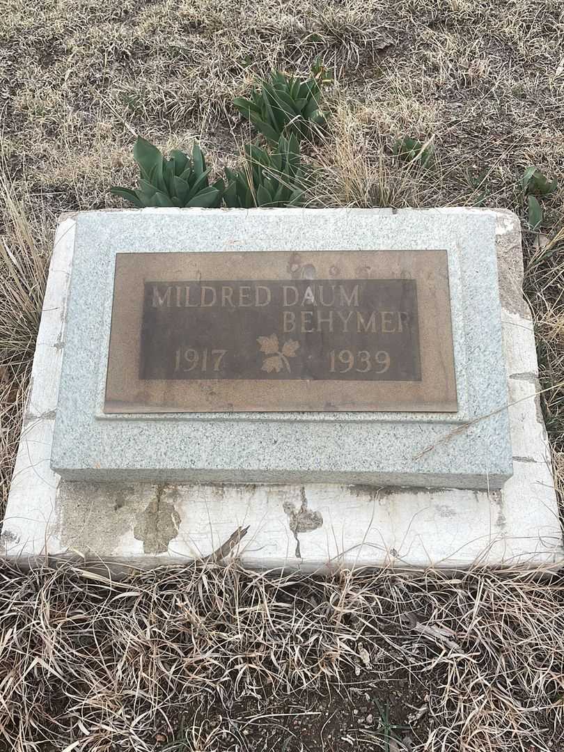 Dwight D. Neidigh's grave. Photo 4