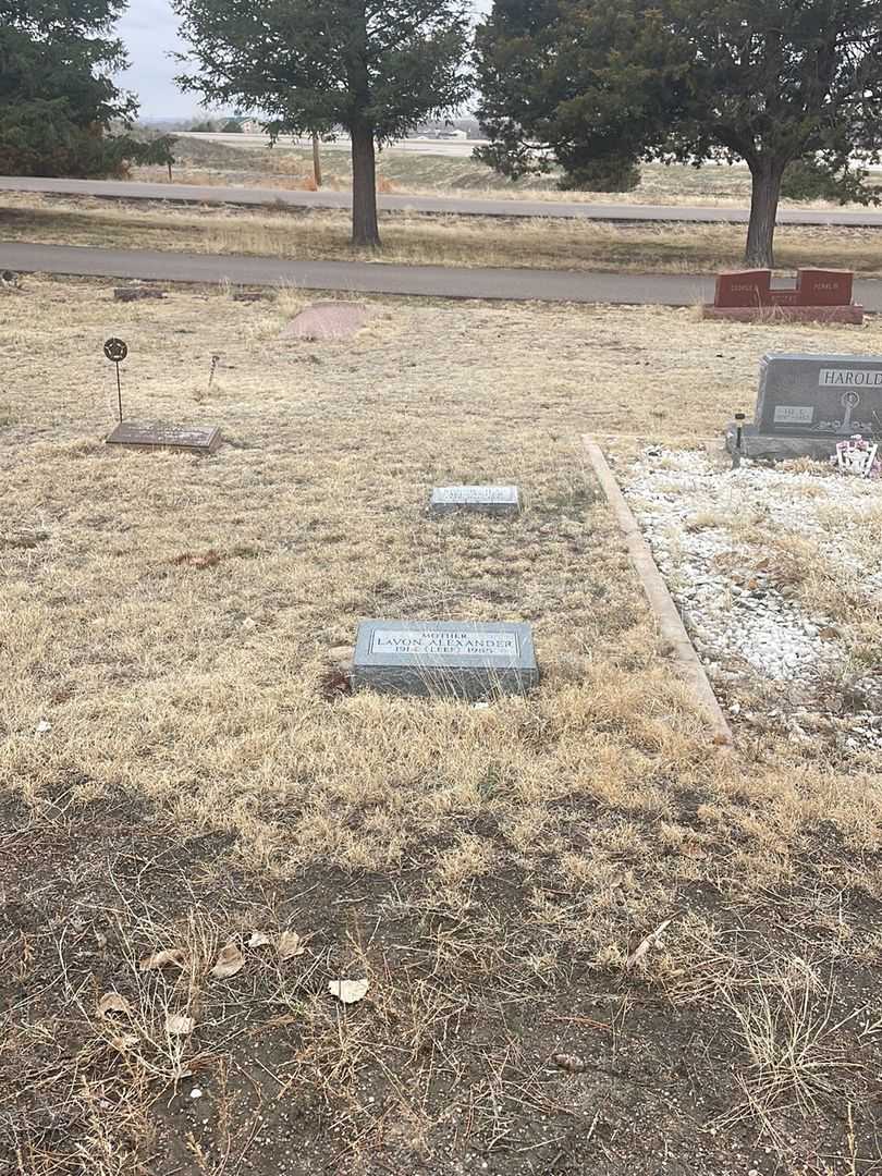 Bonnie Jean Alexander's grave. Photo 3