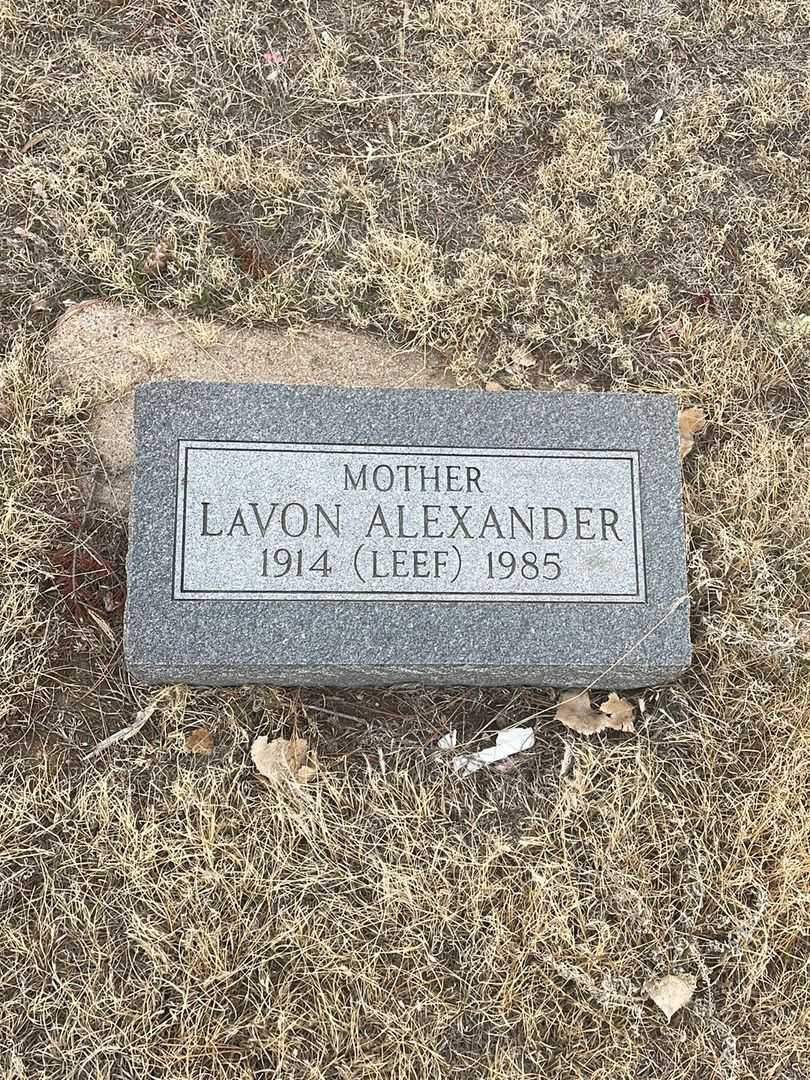 Bonnie Jean Alexander's grave. Photo 4