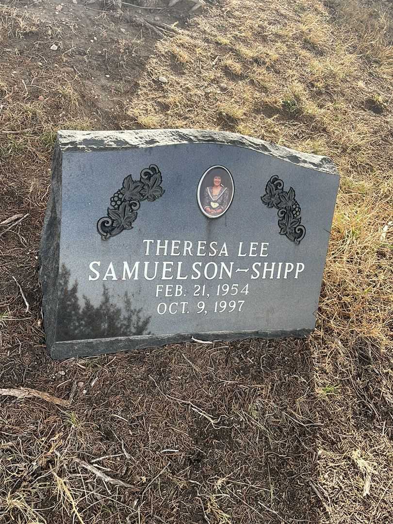 Theresa Lee Samuelson-Shipp's grave. Photo 2