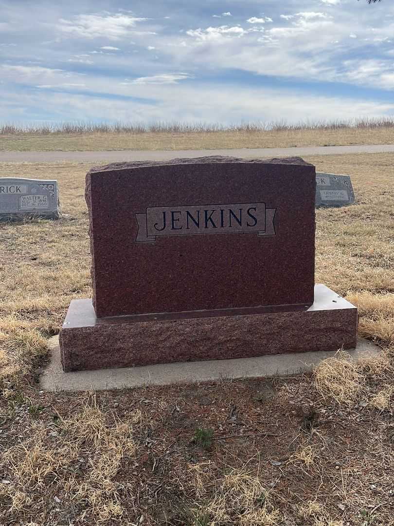 Robert Franklin Jenkins's grave. Photo 1