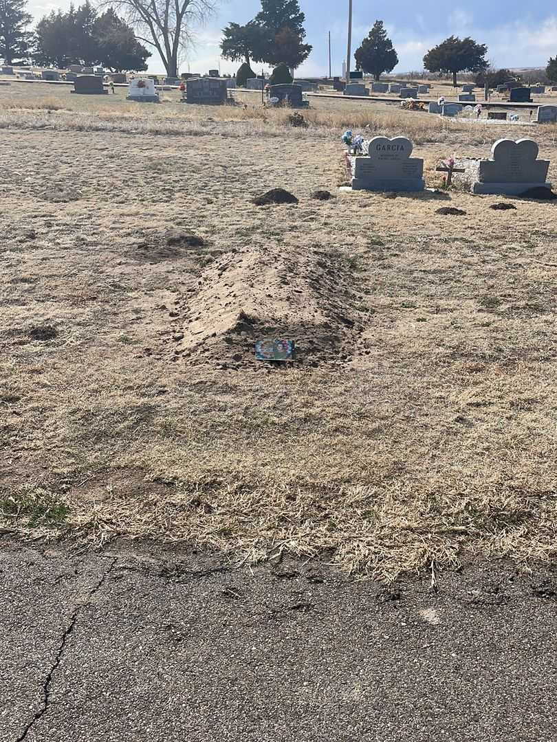 Phyllis M. Vary's grave. Photo 1