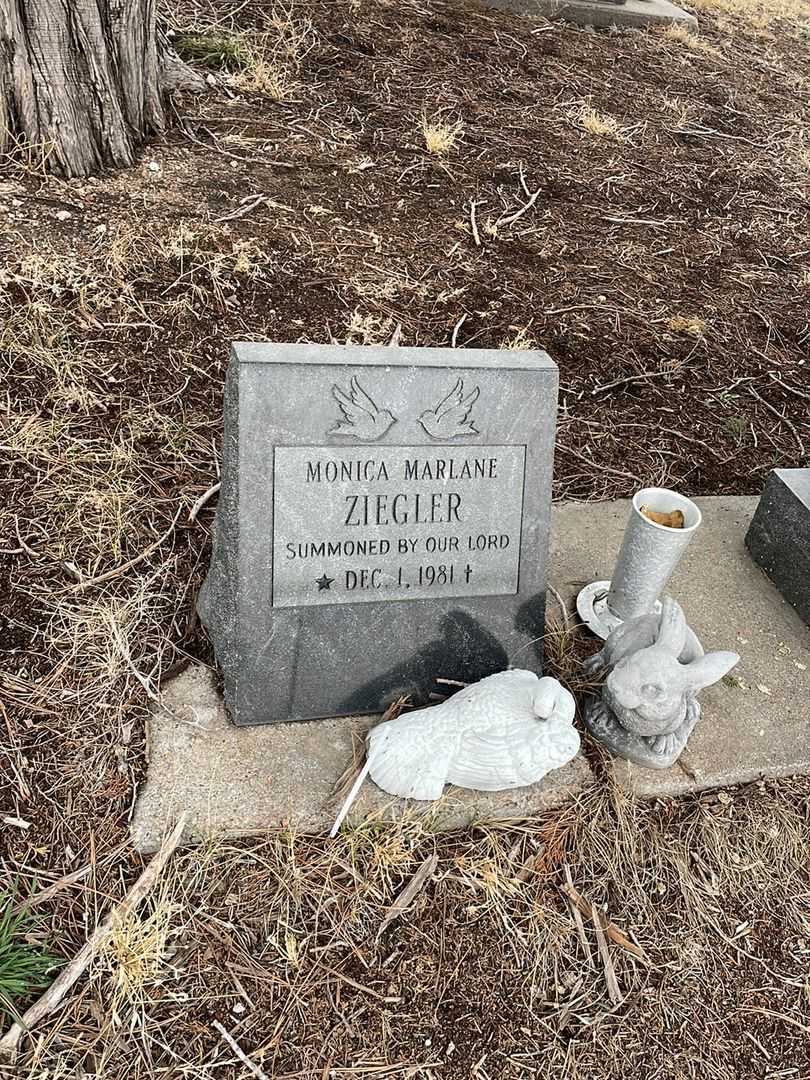 Monica Marlane Ziegler's grave. Photo 2