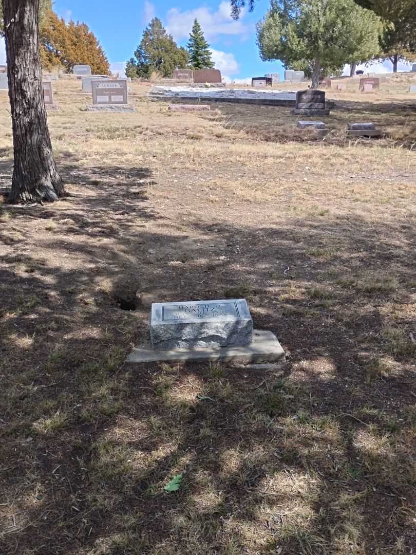 Harold J. Galitz's grave. Photo 2