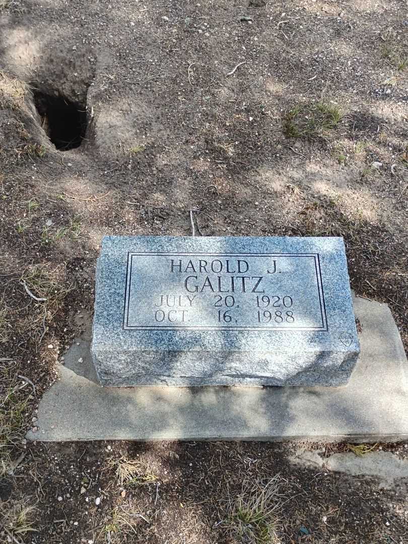 Harold J. Galitz's grave. Photo 3