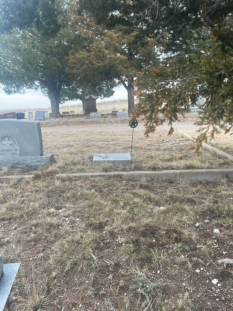 Lloyd T. Jenkins's grave. Photo 1