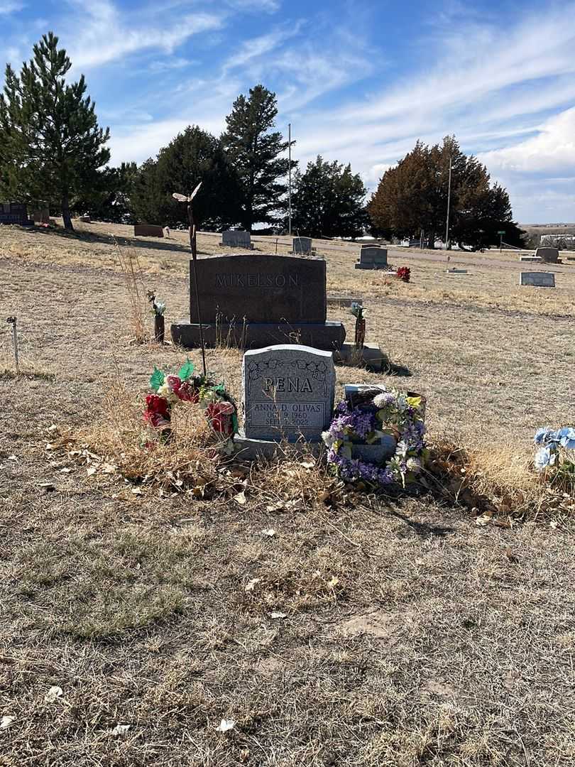 Anna D. Olivas Pena's grave. Photo 1