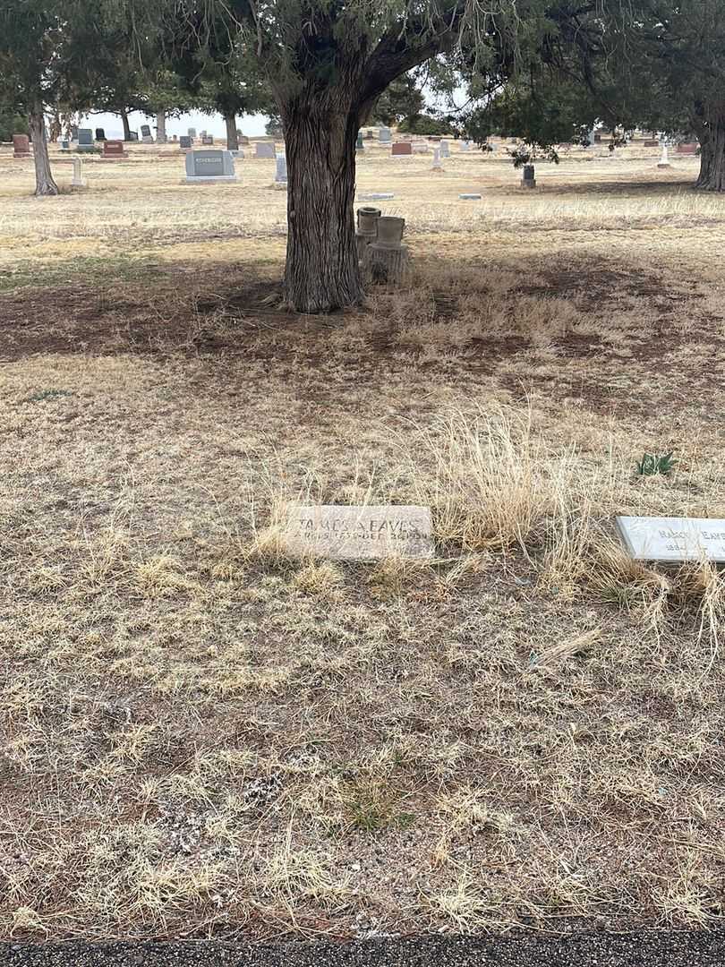 James A. Eaves's grave. Photo 1