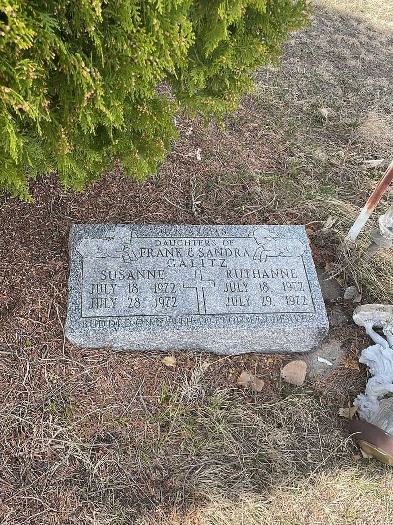 Ruthanne Galitz's grave. Photo 2