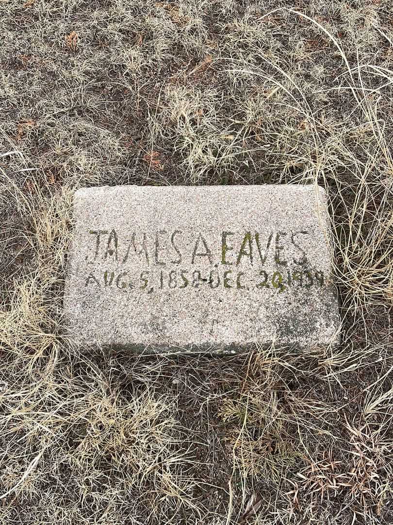 James A. Eaves's grave. Photo 2