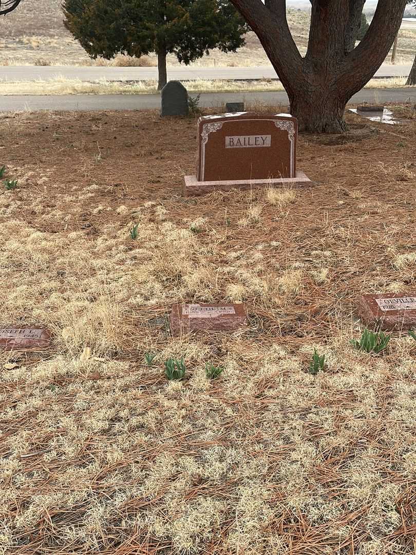 Nettie M. Bailey's grave. Photo 2