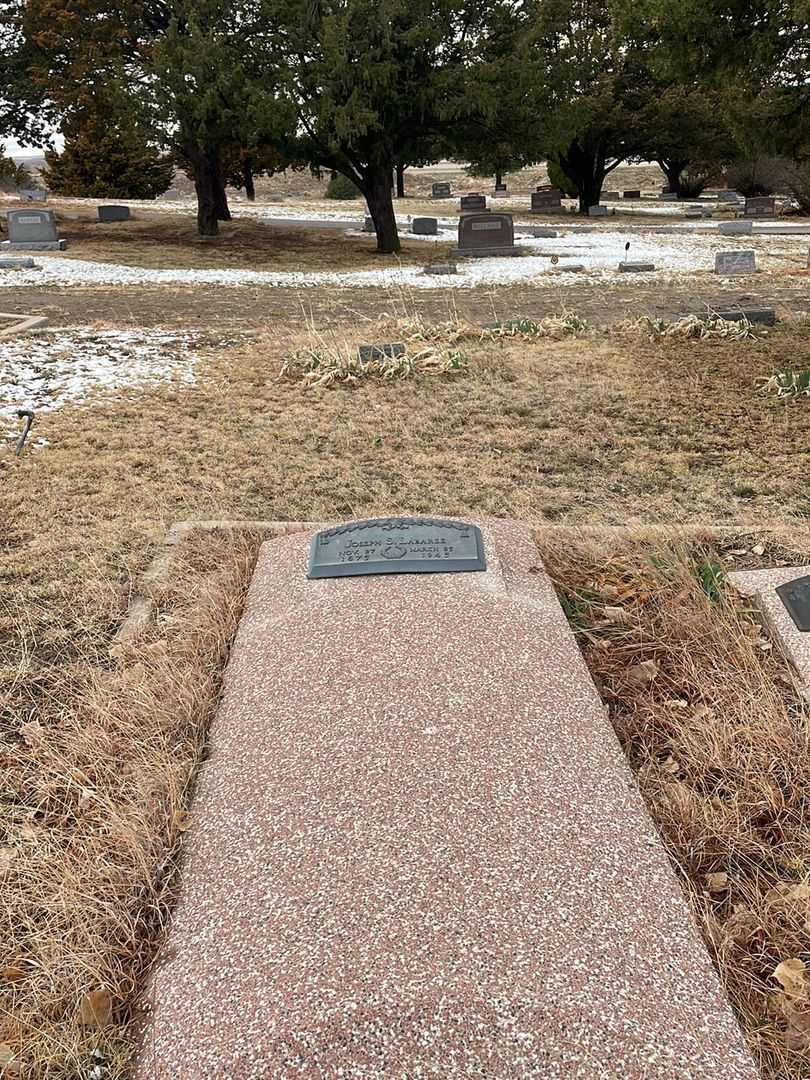 Joseph S. Labaree's grave. Photo 1