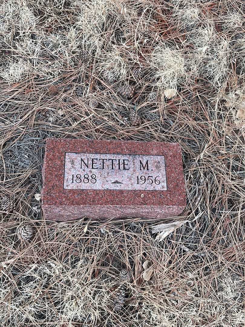 Nettie M. Bailey's grave. Photo 3