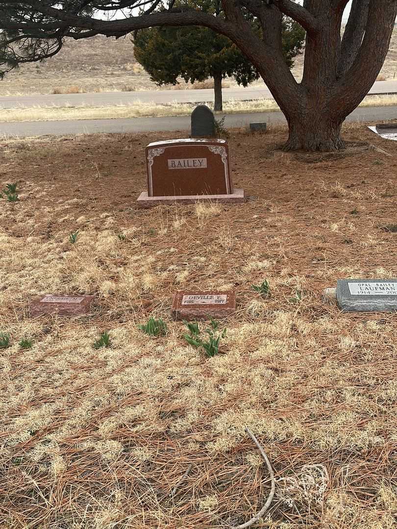 Orville P. Bailey's grave. Photo 2