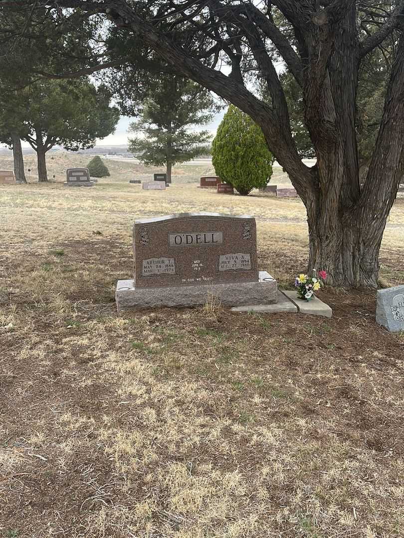 Viva A. O'Dell's grave. Photo 1