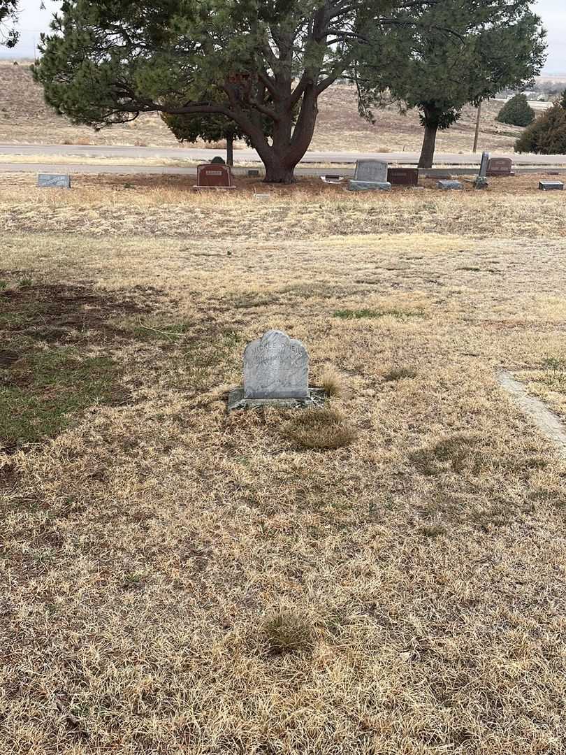 Mickle O'Neil's grave. Photo 1