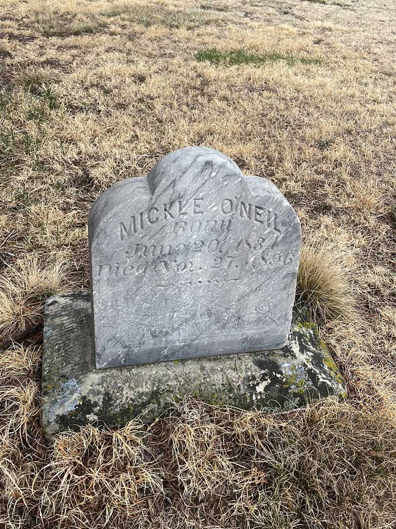 Mickle O'Neil's grave. Photo 2