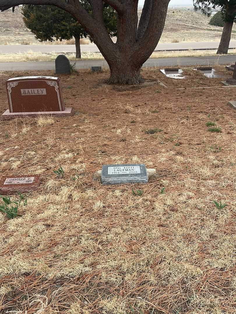 Opal Bailey Laufman's grave. Photo 2