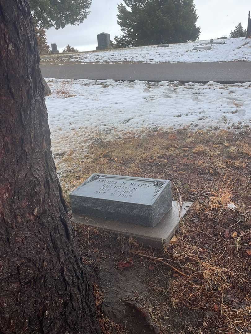 Arvilla M. Parker Seligman's grave. Photo 1