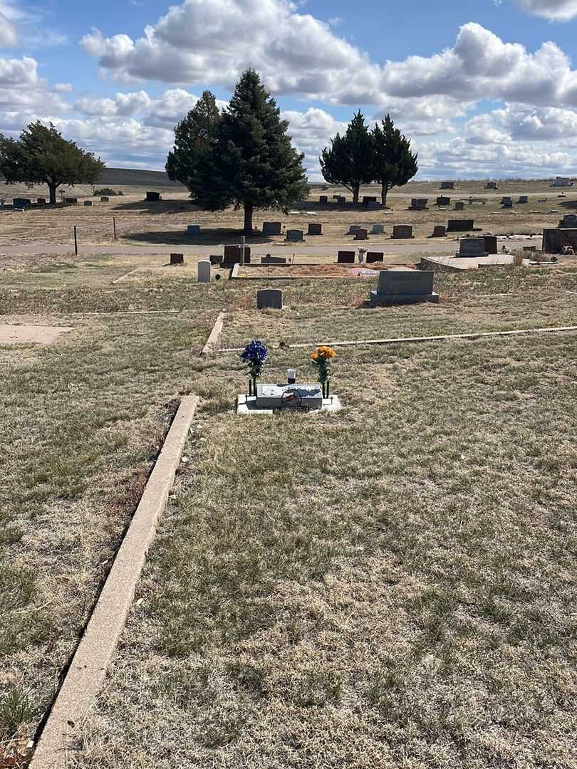 Travis S. Ingram's grave. Photo 2