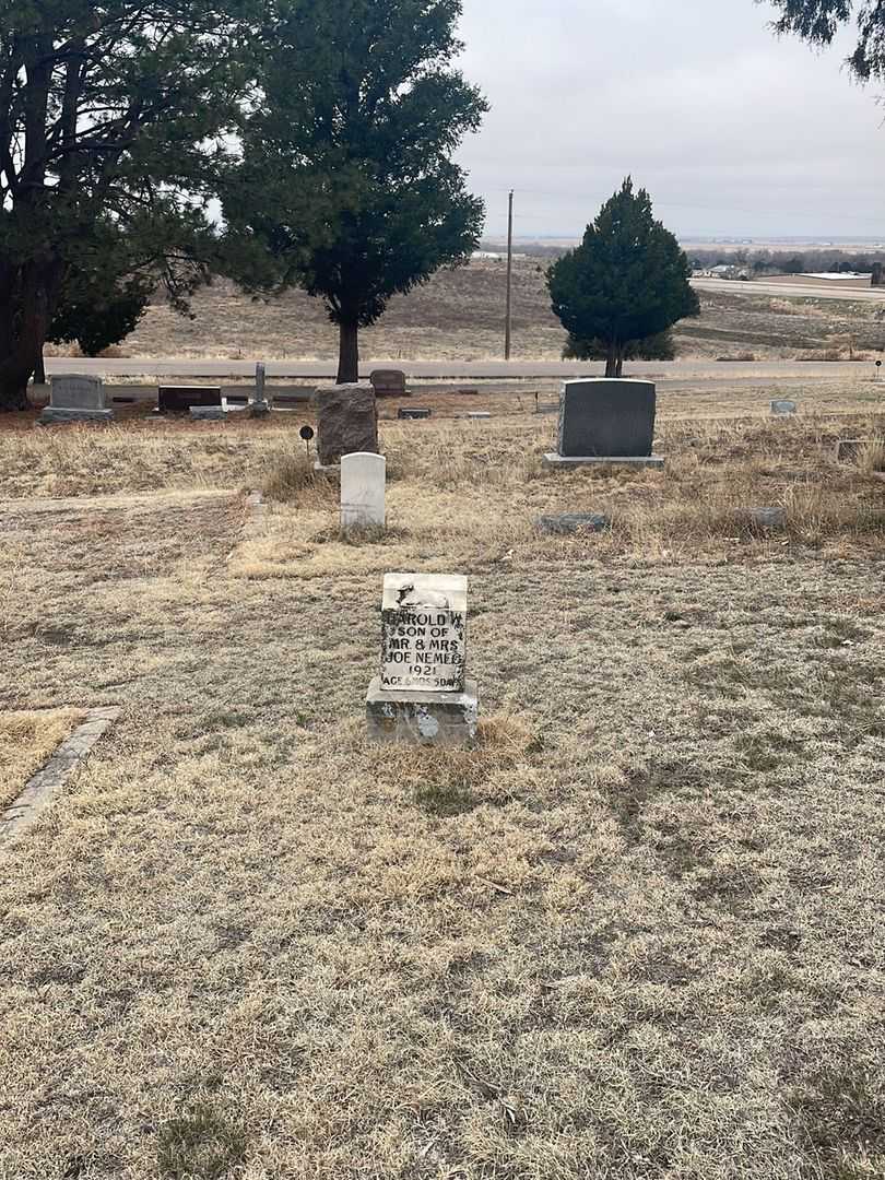 Harold W. Nemec's grave. Photo 1
