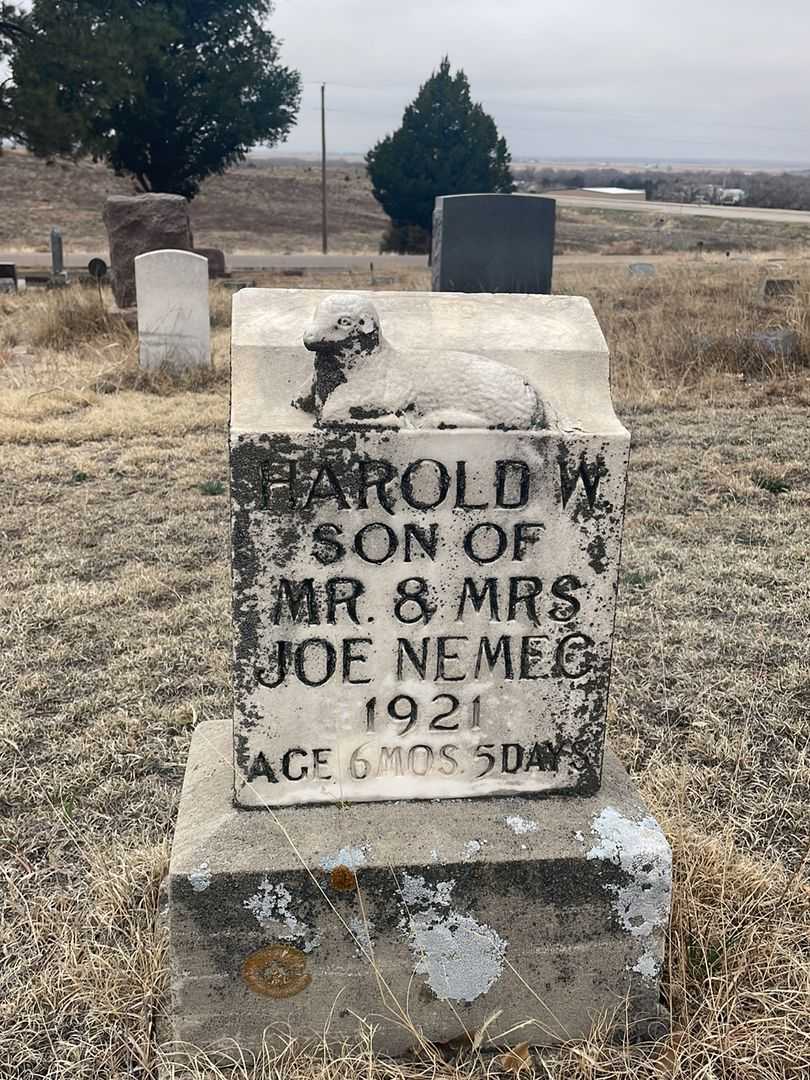 Harold W. Nemec's grave. Photo 2