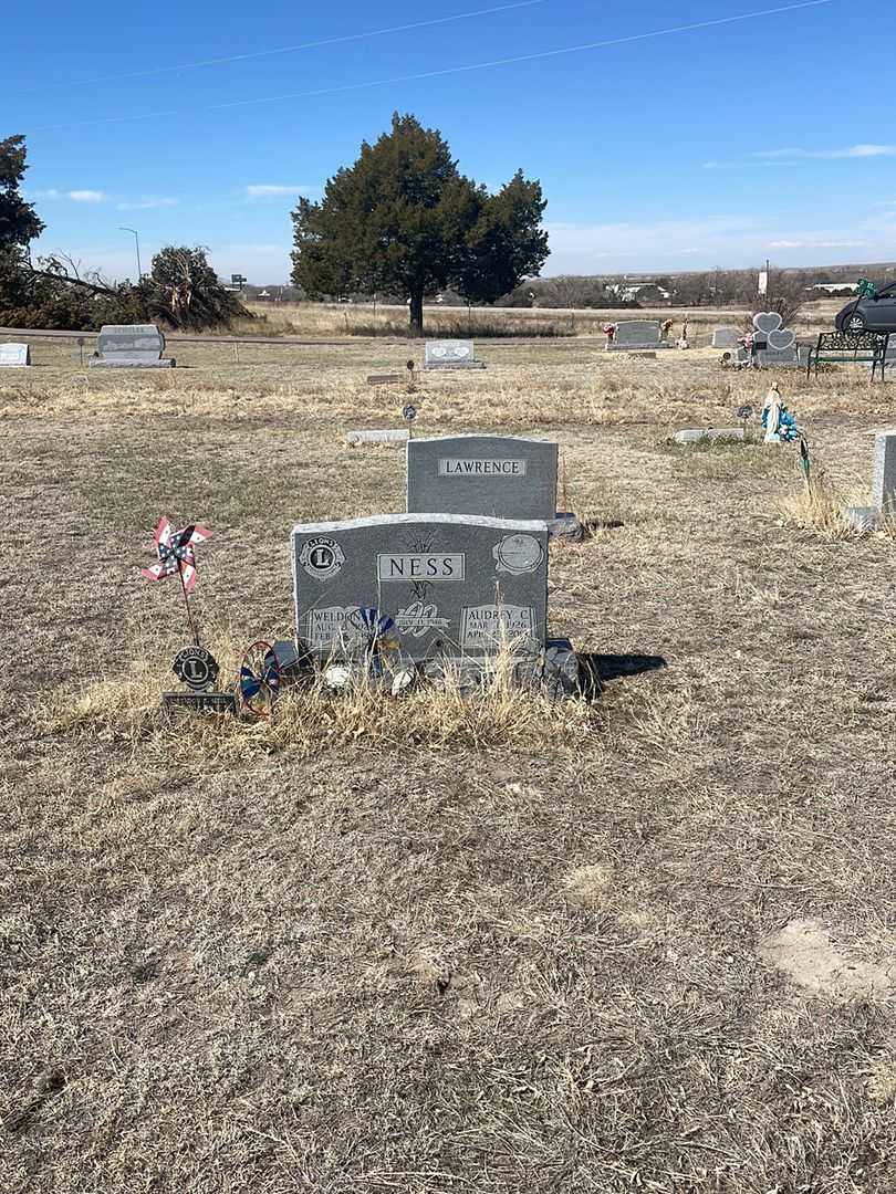 Audrey C. Ness's grave. Photo 1