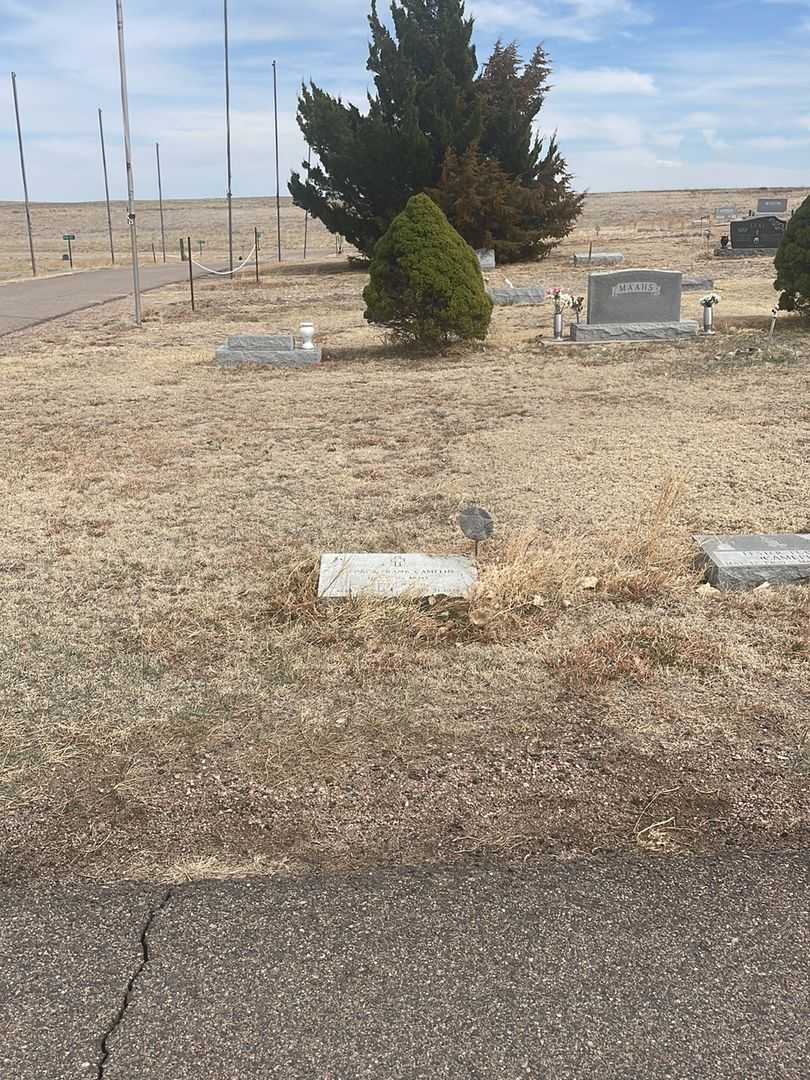 George Frank Camelin's grave. Photo 1