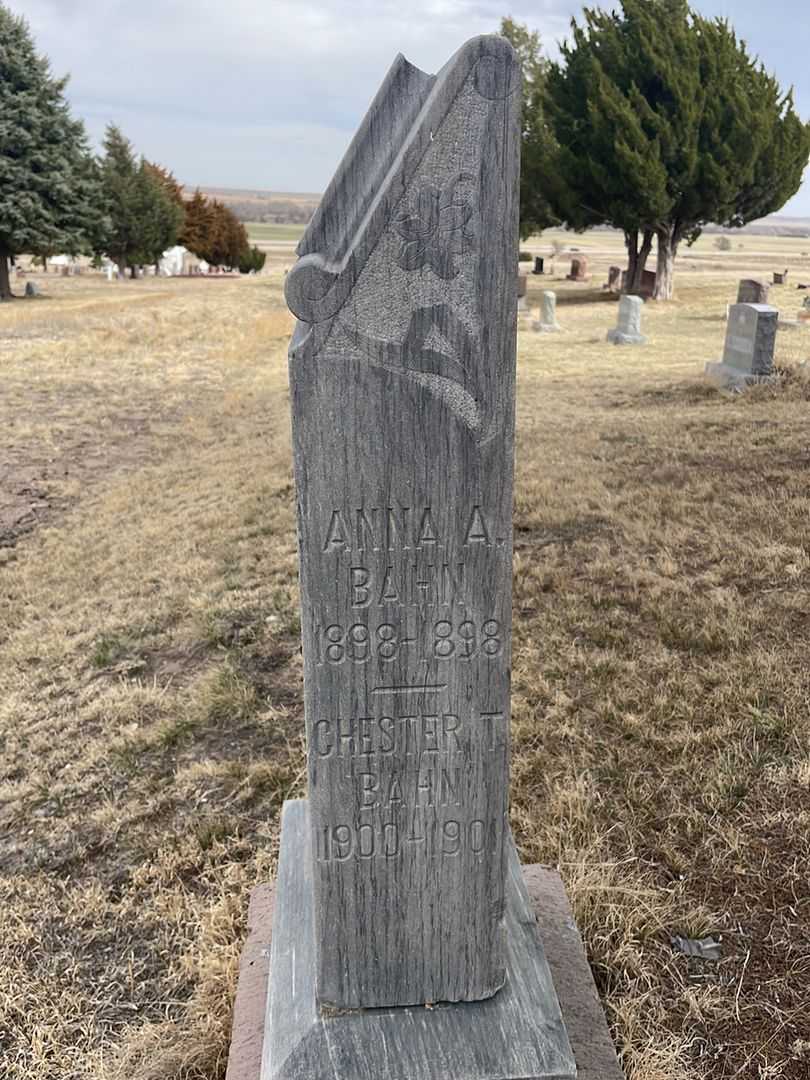 Chester T. Bahn's grave. Photo 2