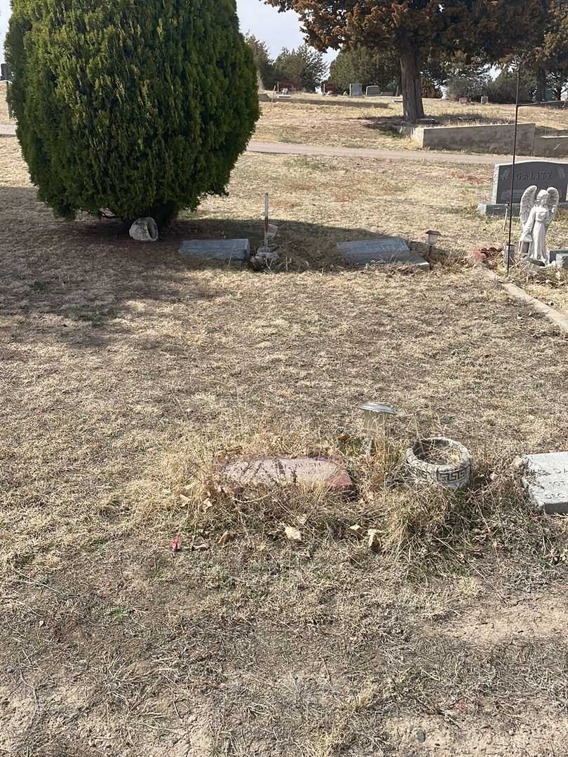 Ruthanne Galitz's grave. Photo 3