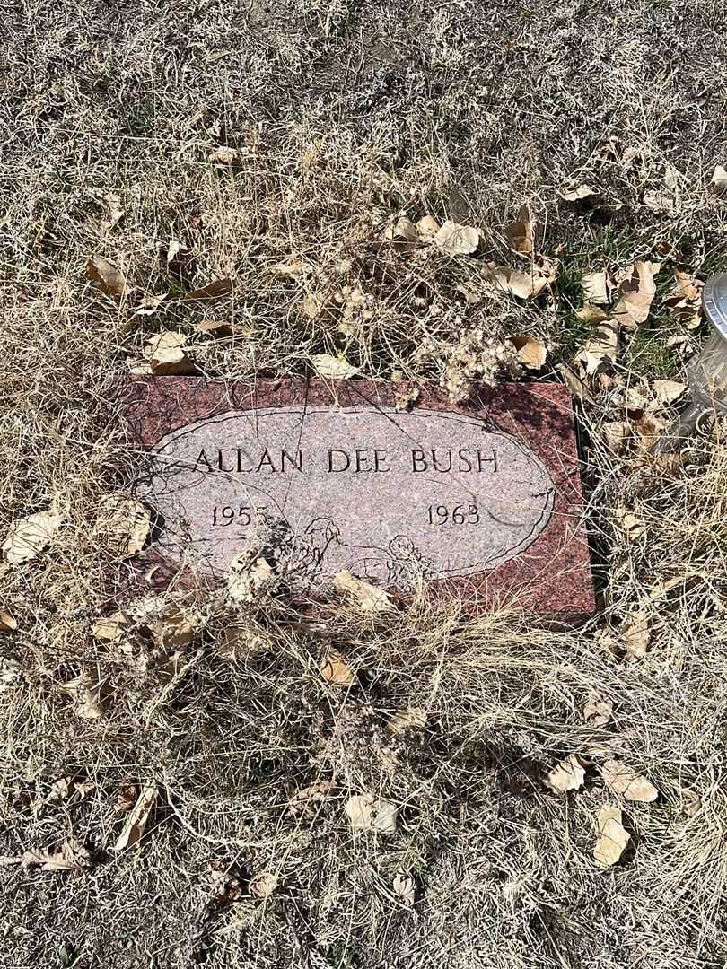 Ruthanne Galitz's grave. Photo 4
