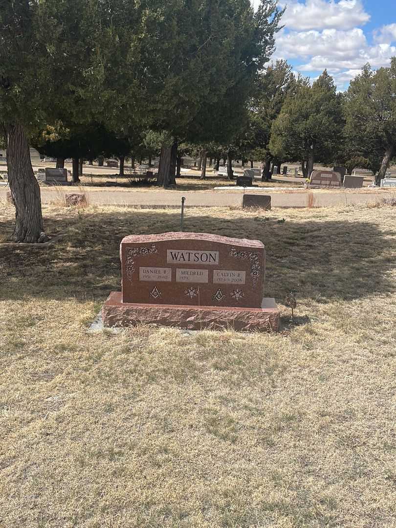 Calvin R. Watson's grave. Photo 1