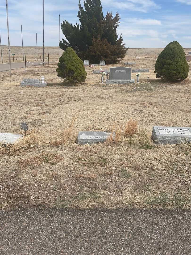 Lester Eugene Camelin's grave. Photo 1