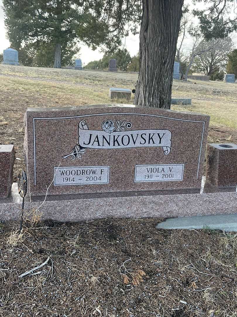 Woodrow F. Jankovsky's grave. Photo 2