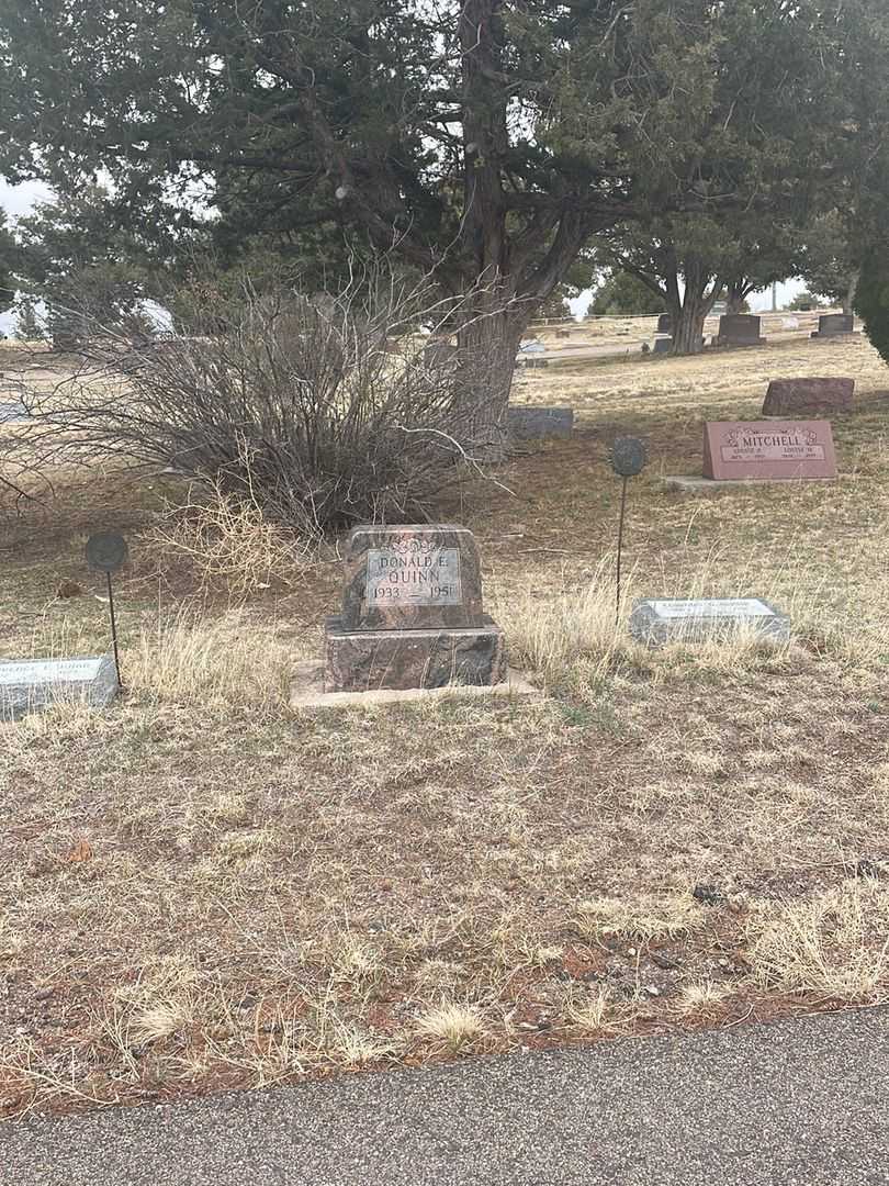 Donald E. Quinn's grave. Photo 1