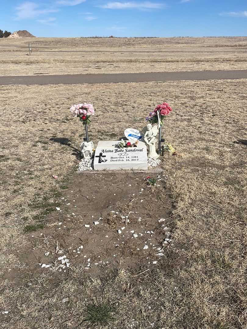 Alaina Babe Sandoval's grave. Photo 1