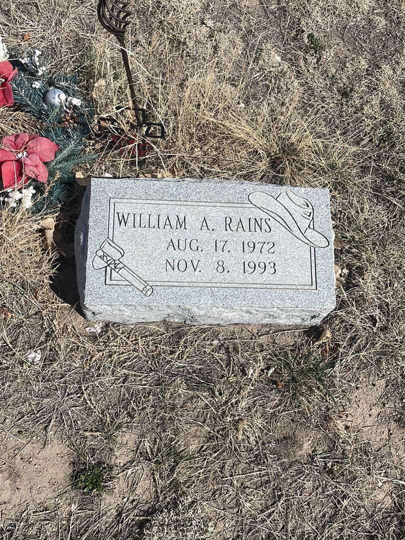 William A. "Billy" Rains's grave. Photo 3