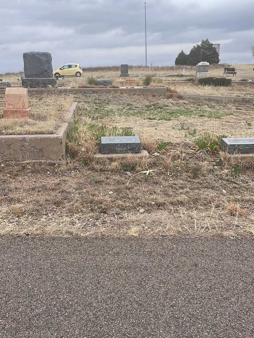 Mina H. Fischer's grave. Photo 1