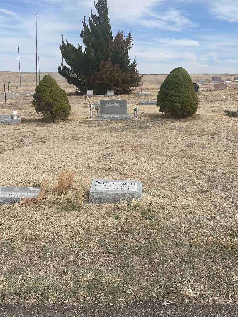 Betty L. Camelin's grave. Photo 1
