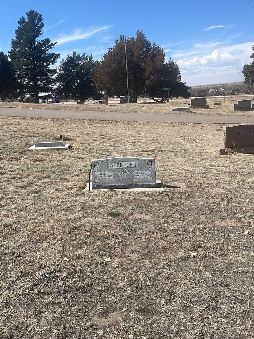 Alvin F. Albrecht's grave. Photo 1