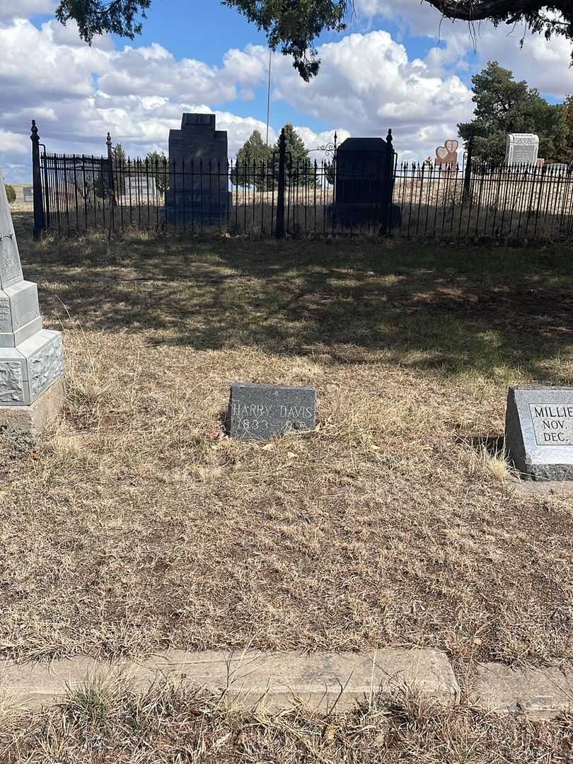Harry Davis's grave. Photo 1