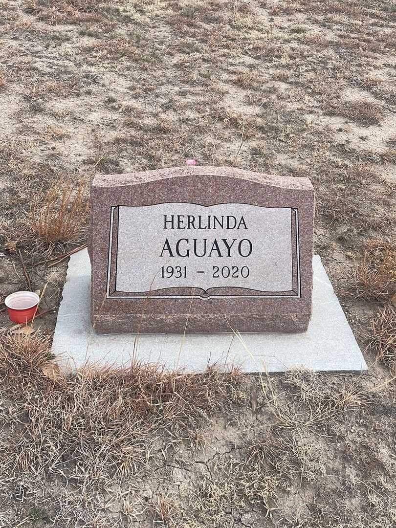 Herlinda Aguayo's grave. Photo 2